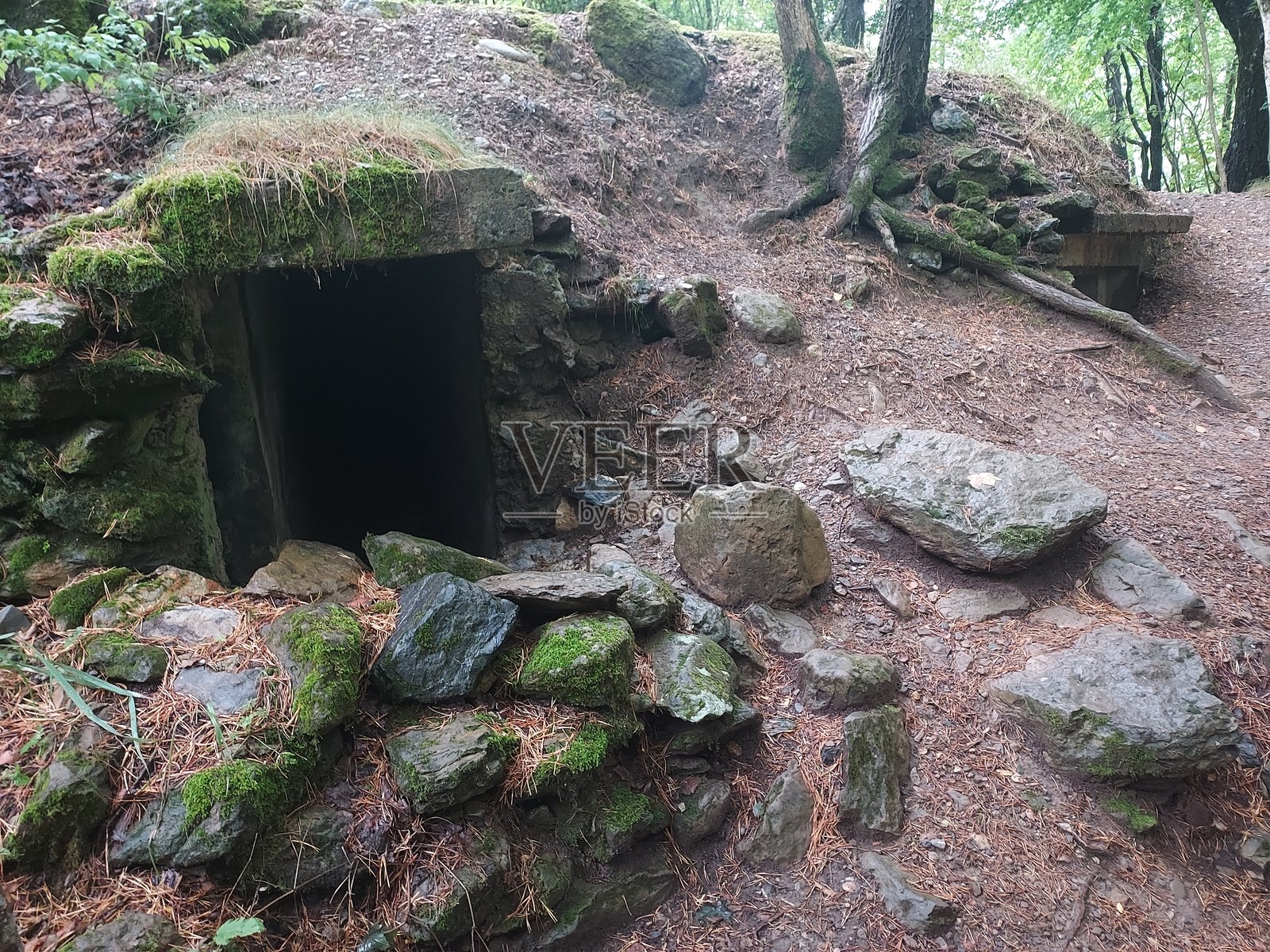 2024 - 坎弗兰克车站自然保护区 - 比利牛斯山照片摄影图片