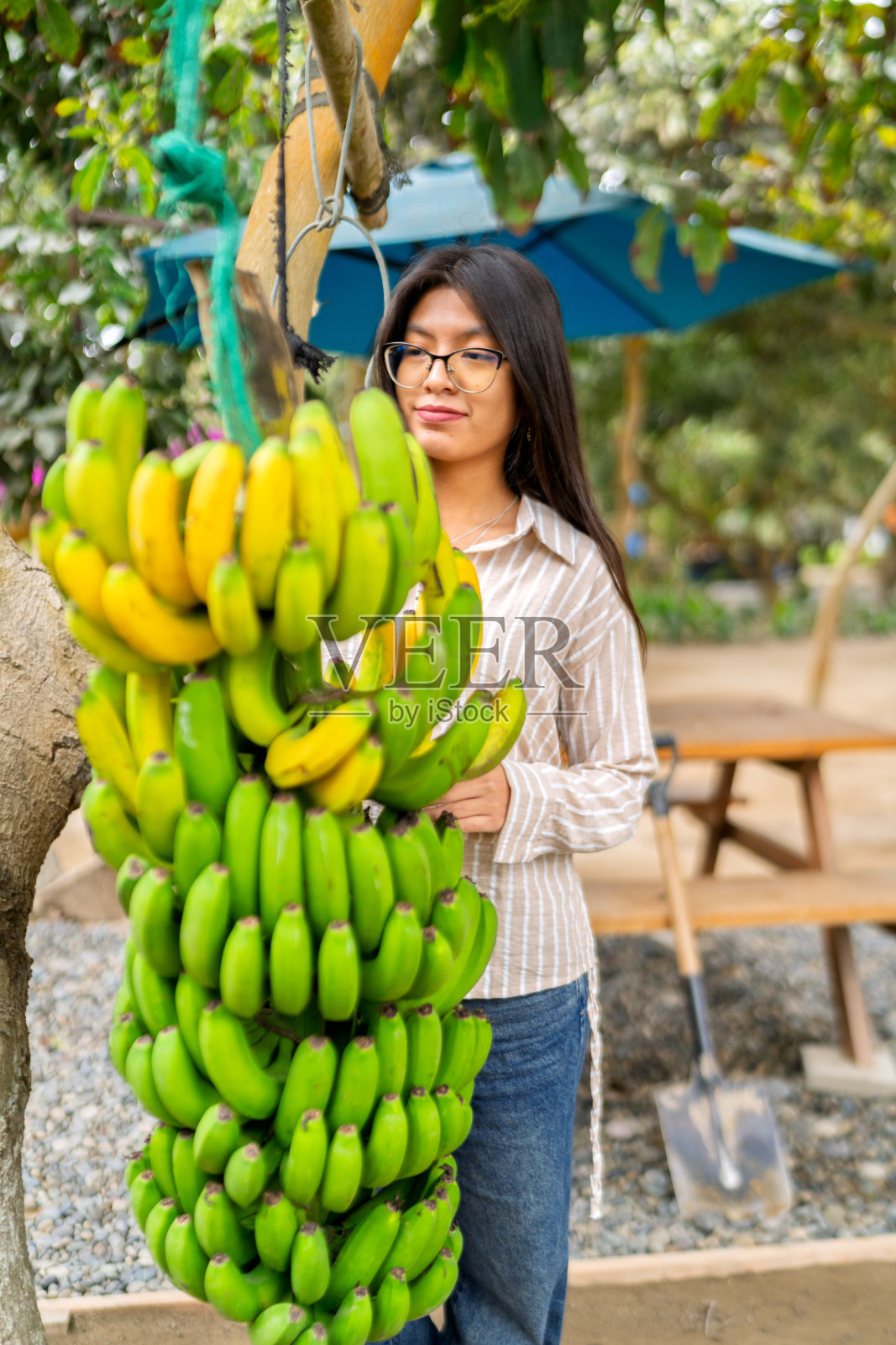 女子在乡村餐厅准备新鲜香蕉照片摄影图片