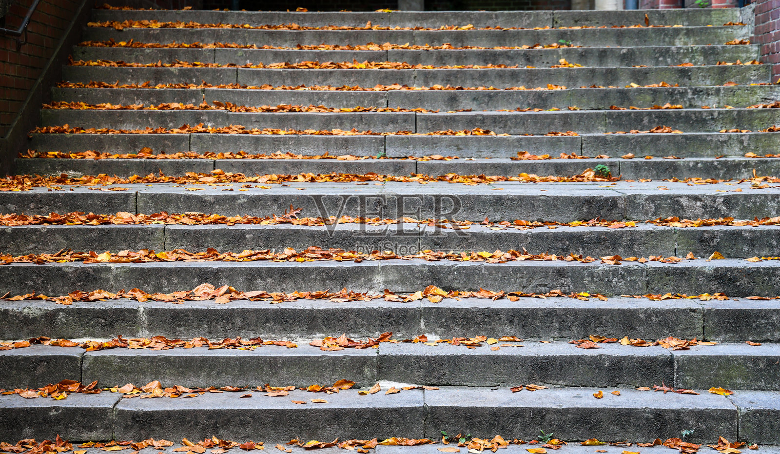 覆盖着五彩秋叶的石阶照片摄影图片