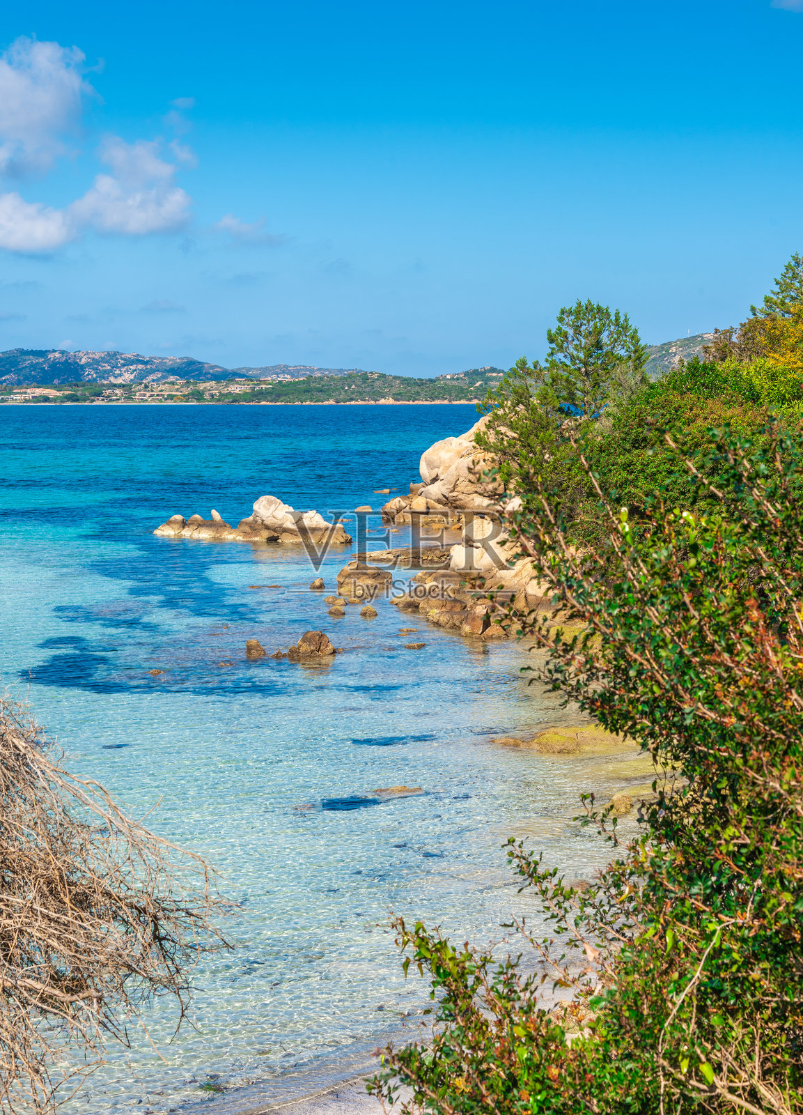 卢·因波斯图海边的植被。照片摄影图片