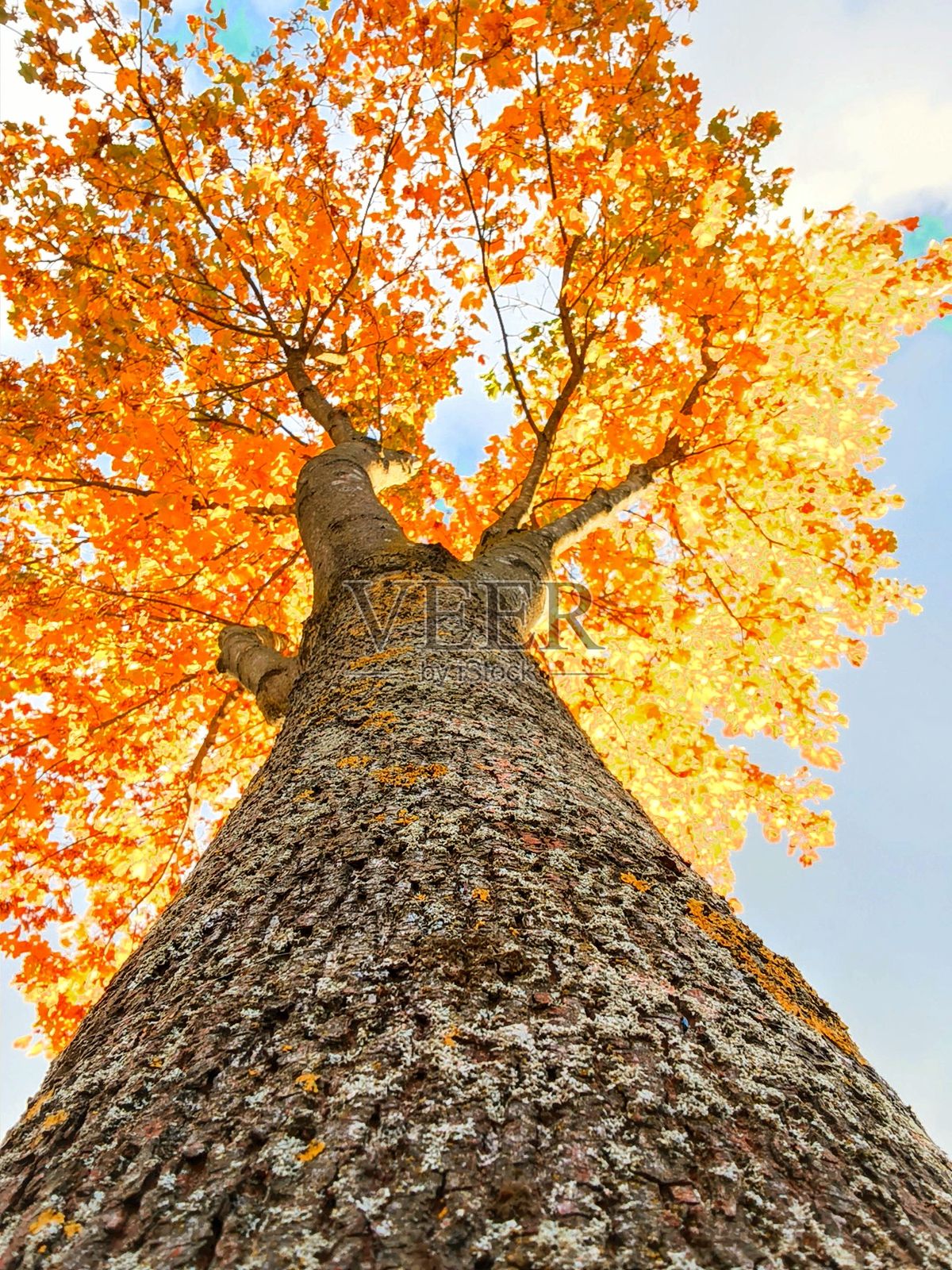 德国北部自然与风景照片照片摄影图片