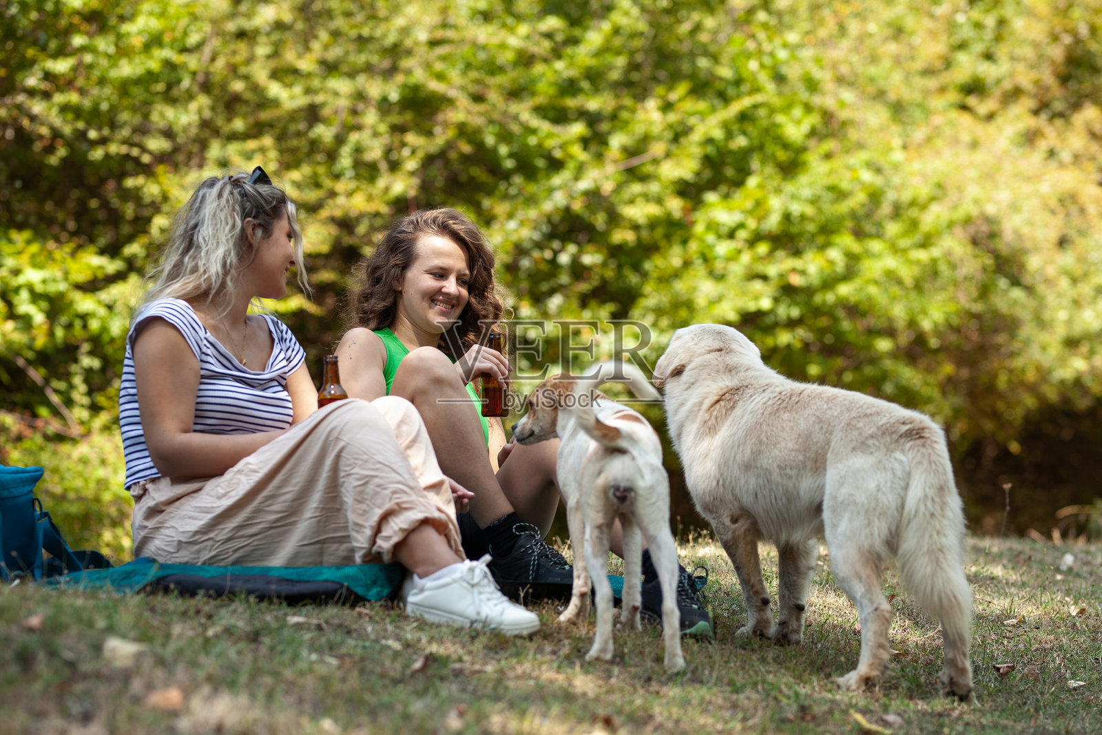 两位女士坐在生机勃勃的森林草地上,一边笑着分享饮品,一边看着她们的两只狗狗在旁边玩耍,营造出一种充满友谊和自然的欢乐氛围。照片摄影图片