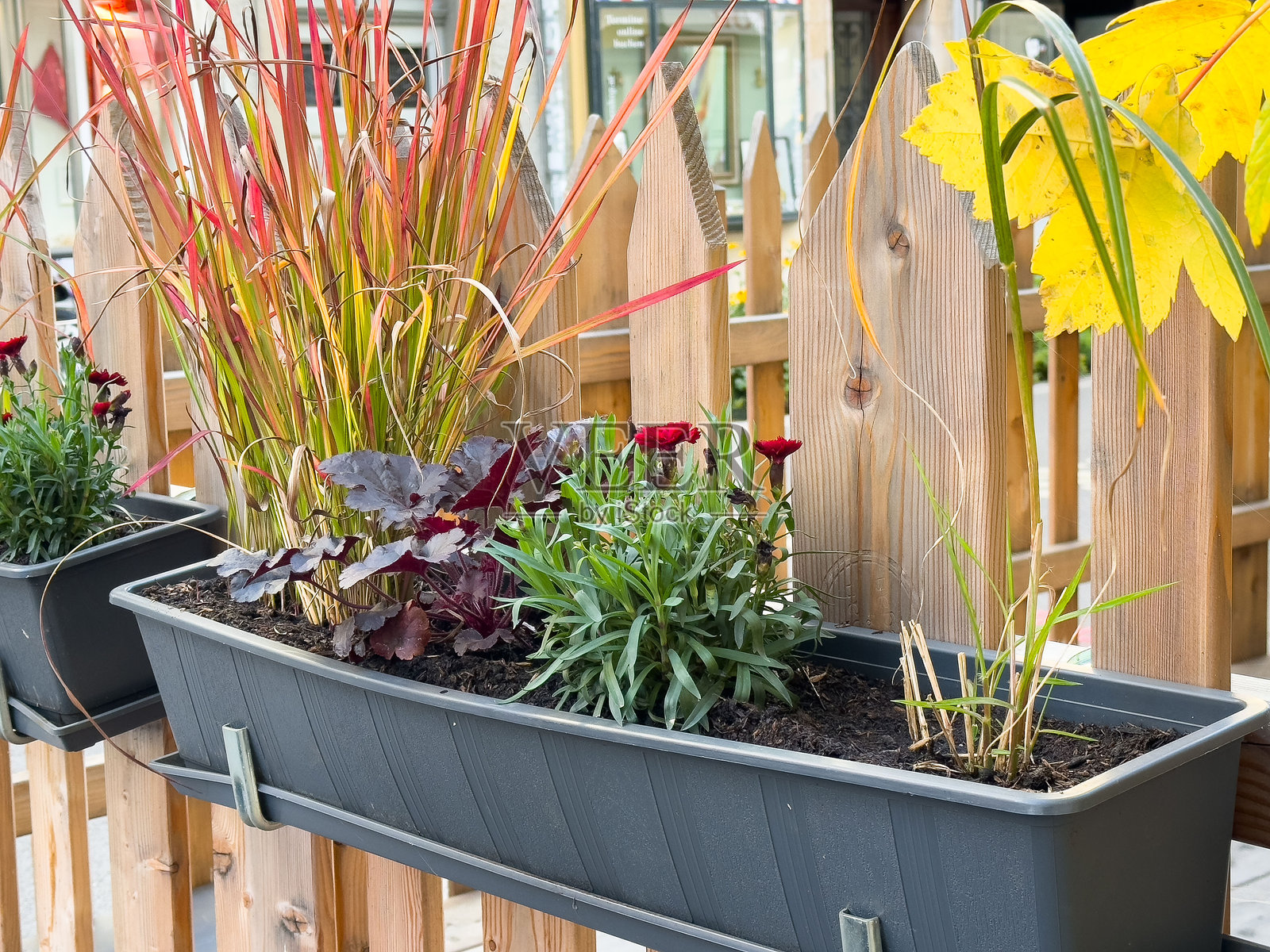 秋季色彩鲜艳的种植箱,内有红黄相间的叶子,放在木栅栏上照片摄影图片