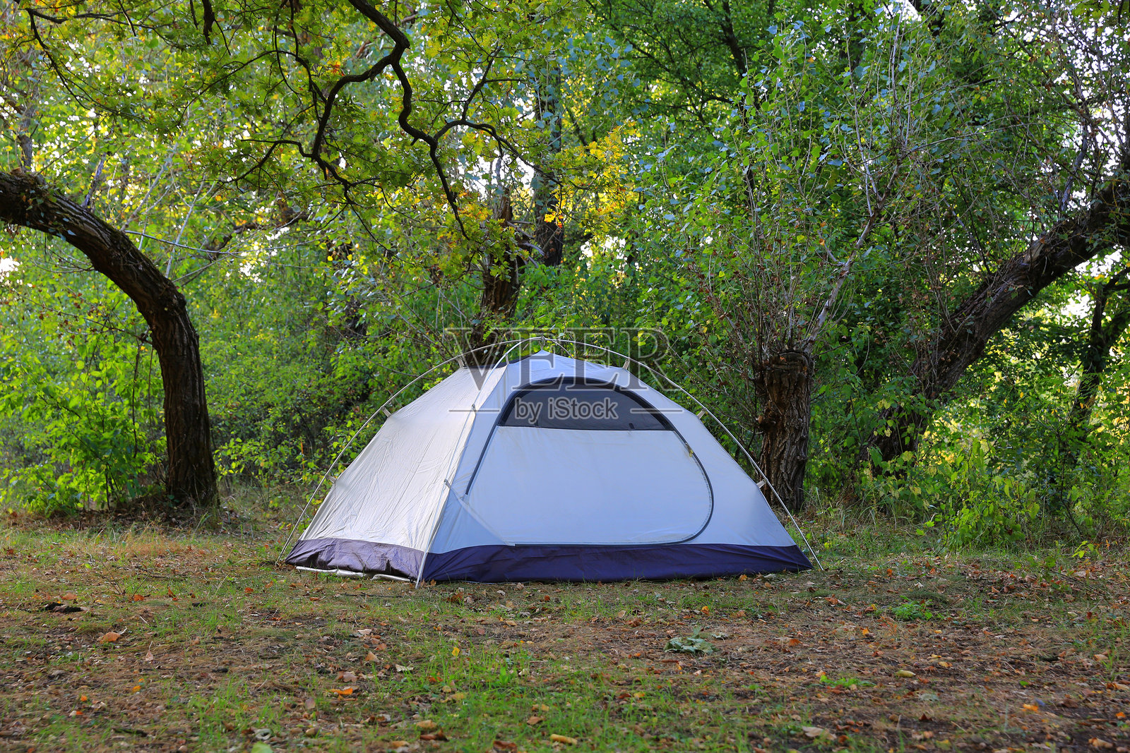 草地上的旅行帐篷照片摄影图片