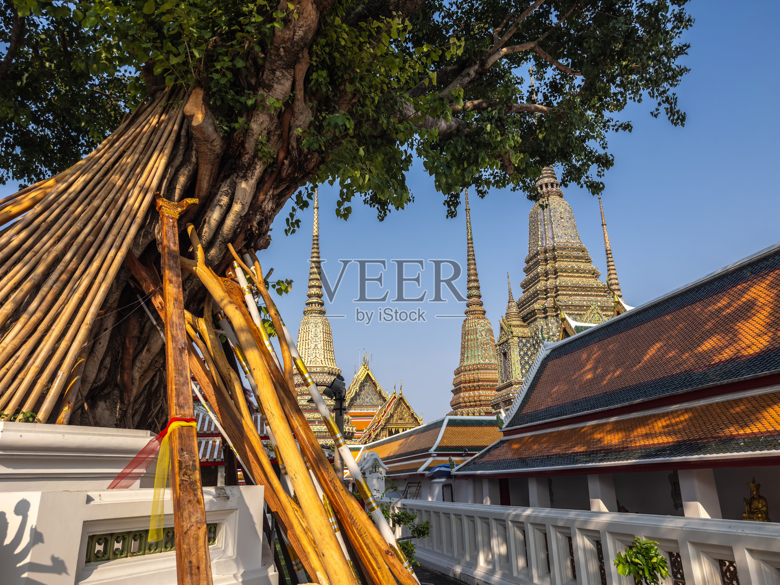 泰国曼谷卧佛寺圣地内,雄伟的菩提树由木柱支撑,华丽的寺庙尖塔在晴朗的背景下优雅地升起,展示着泰国传统建筑。照片摄影图片