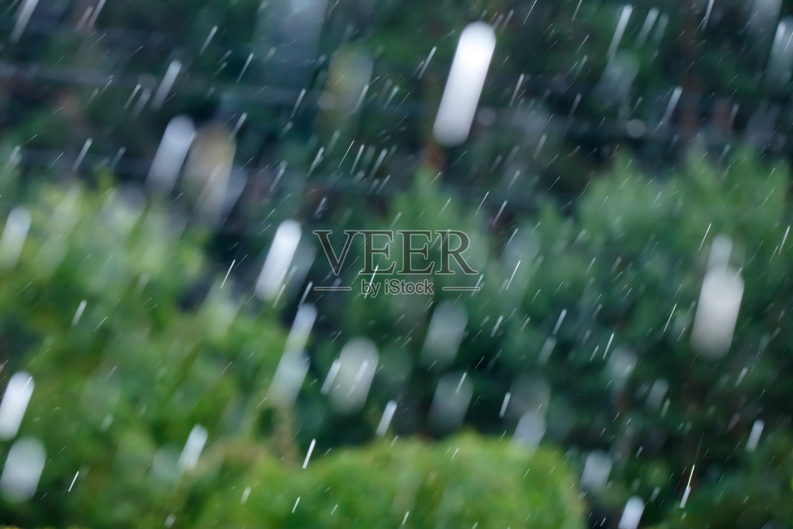 雨滴落在失焦的自然背景上照片摄影图片