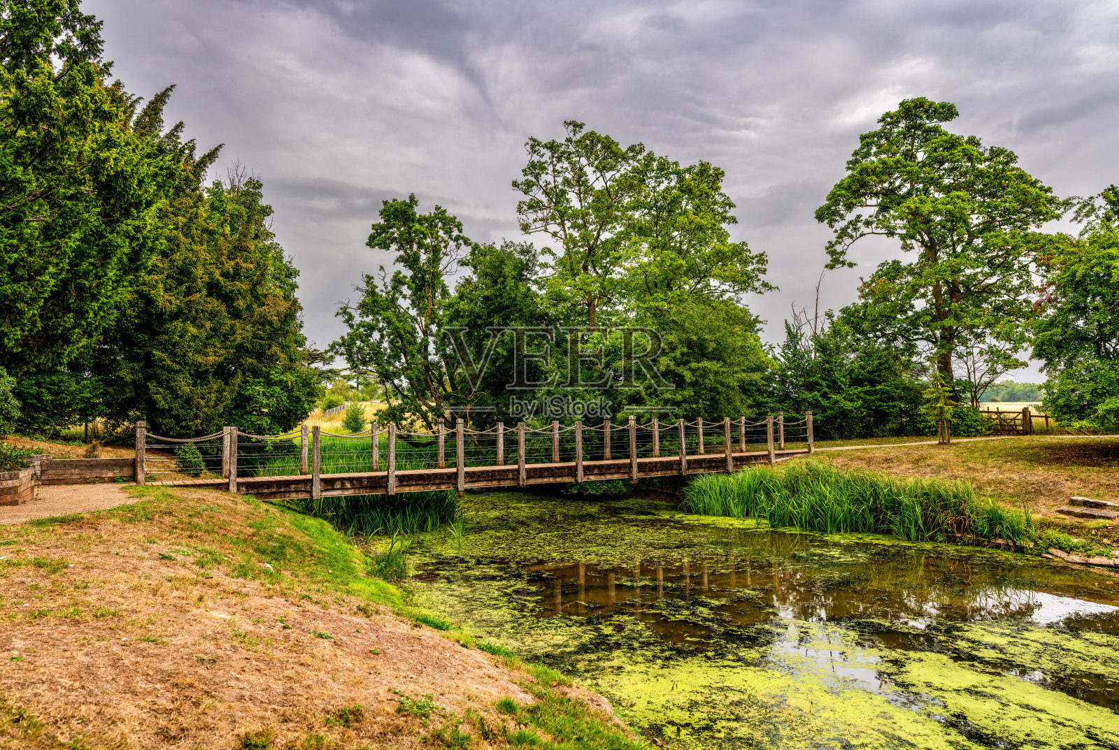 宁静的乡村木桥,横跨着长满绿藻的小池塘,周围绿树环绕,天空布满云彩。照片摄影图片