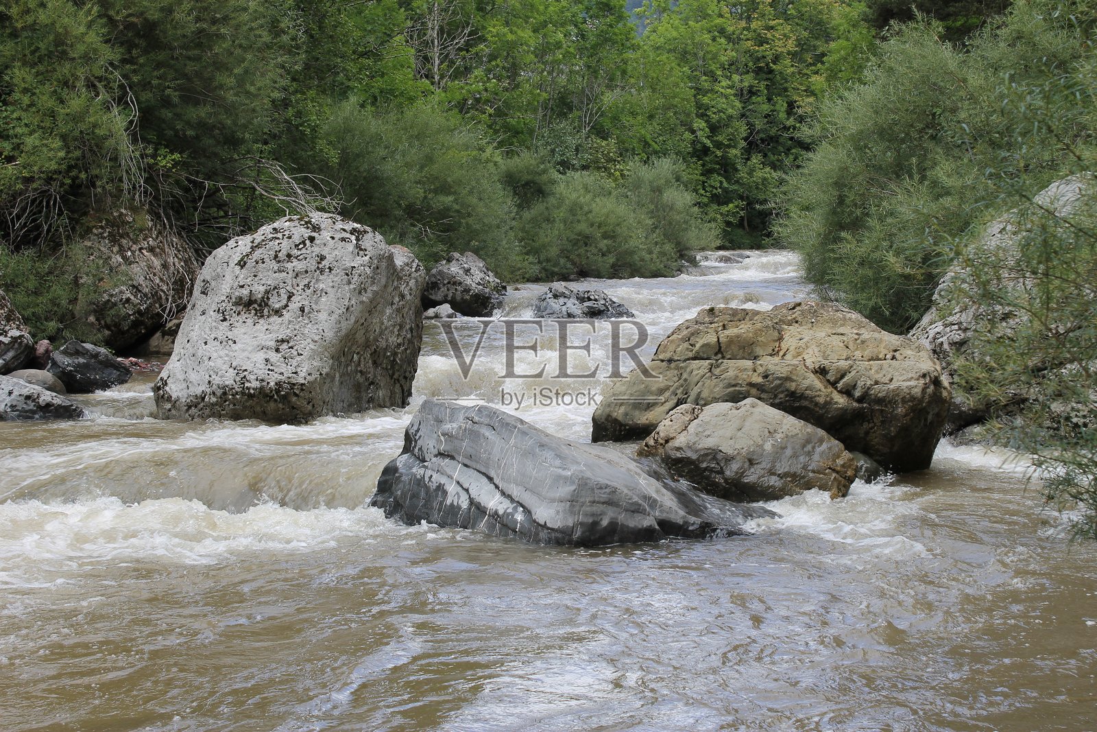2024 - 坎弗兰克车站自然保护区 - 比利牛斯山照片摄影图片