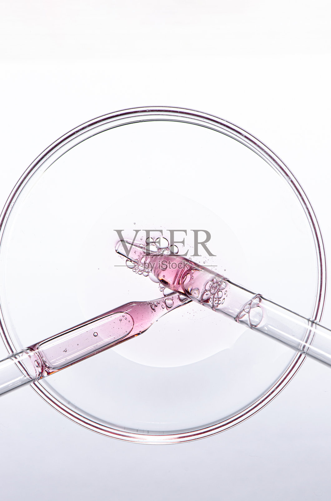 培养皿中的身体化妆品样品。照片摄影图片