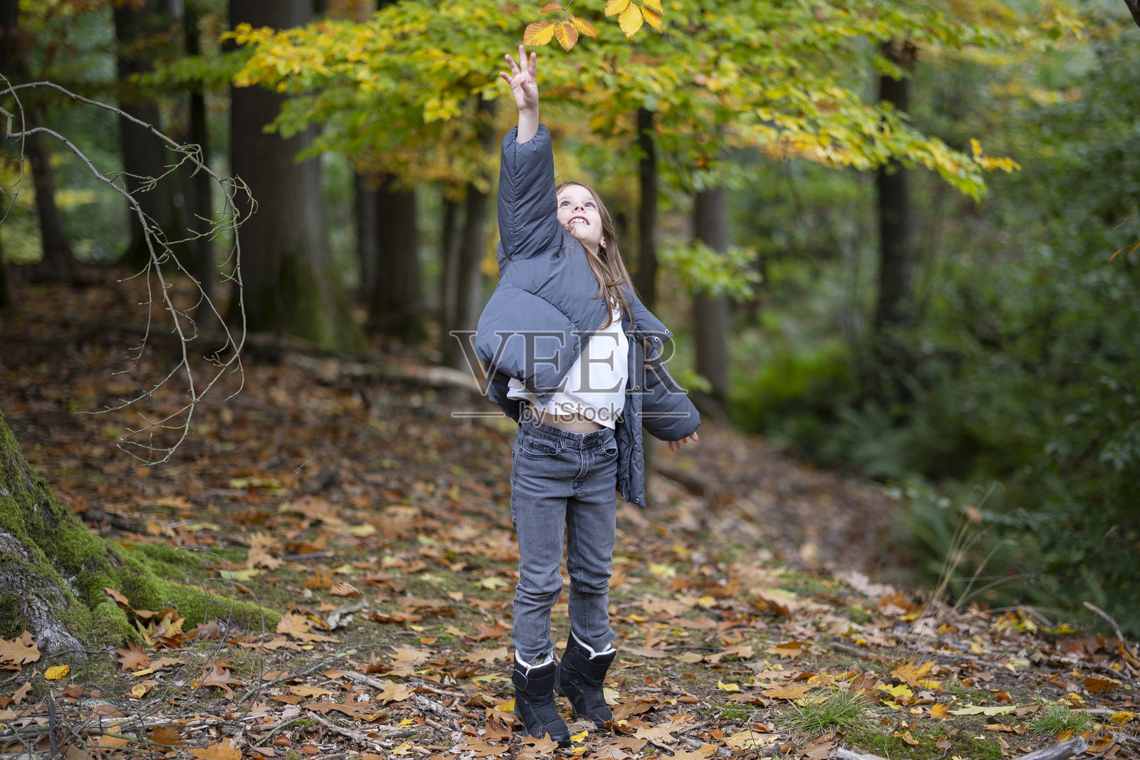 穿着秋装的可爱女孩在秋林中俏皮地伸手去摘枫叶,体现了自然中的快乐和童年概念。照片摄影图片