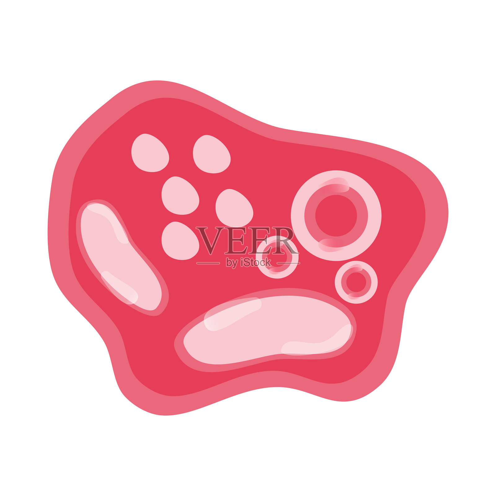 沙眼衣原体矢量图。描绘人类免疫细胞的矢量图,包括巨噬细胞和肥大细胞,展示免疫系统的生物学以及免疫学中的单核细胞类型。插画图片素材