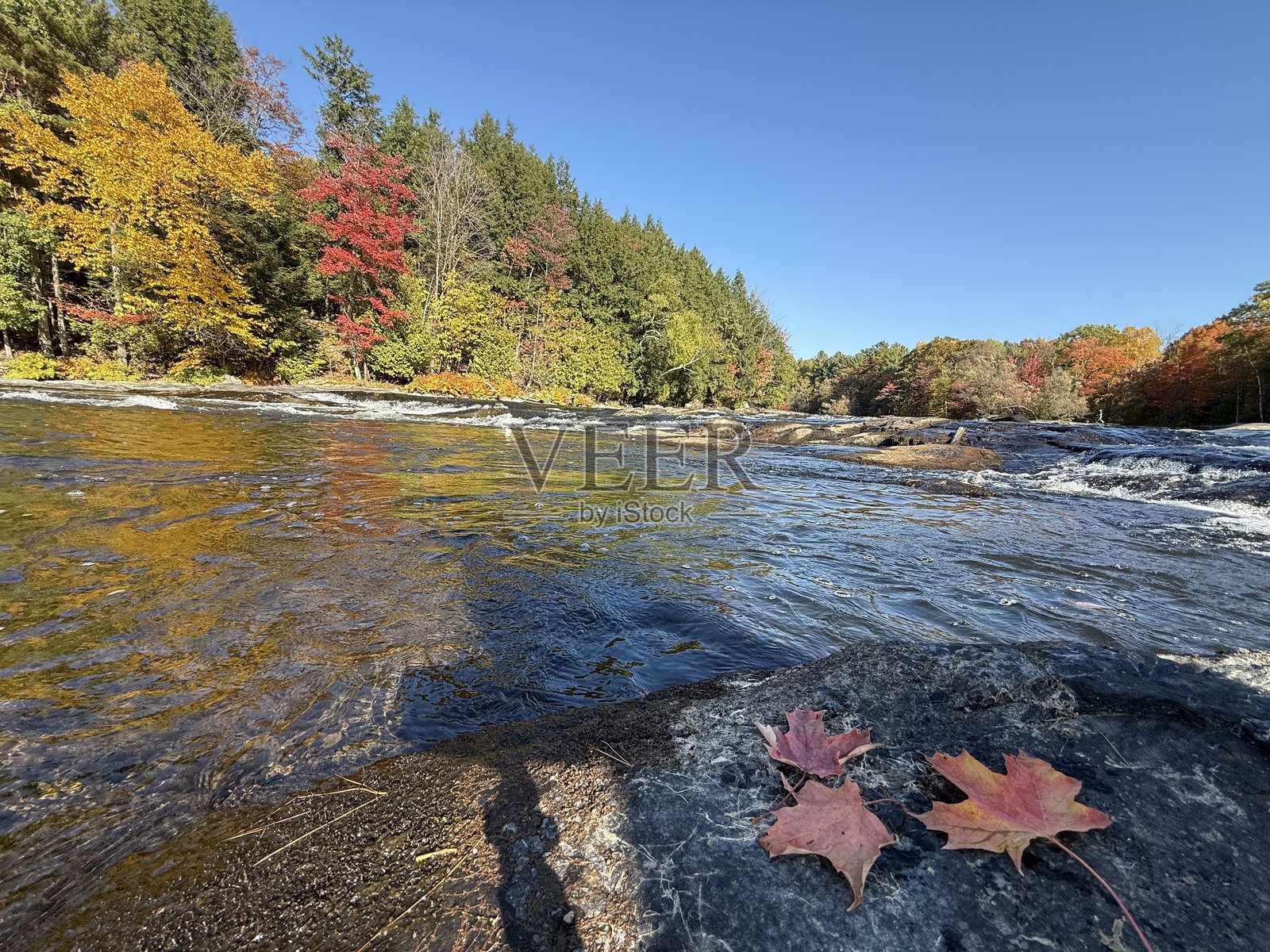 秋季的诺尔河公园照片摄影图片