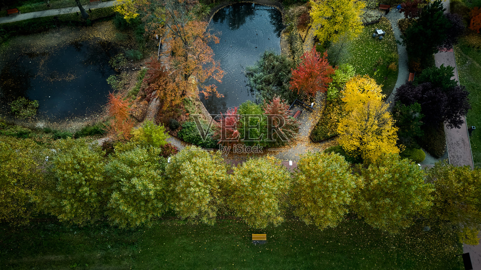 无人机捕捉到色彩缤纷的公园,内有树木和池塘,宁静的空中视角展现秋天的树木和池塘照片摄影图片