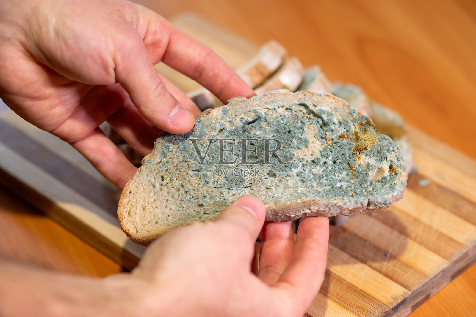 手拿着一块发霉的黑麦面包照片摄影图片