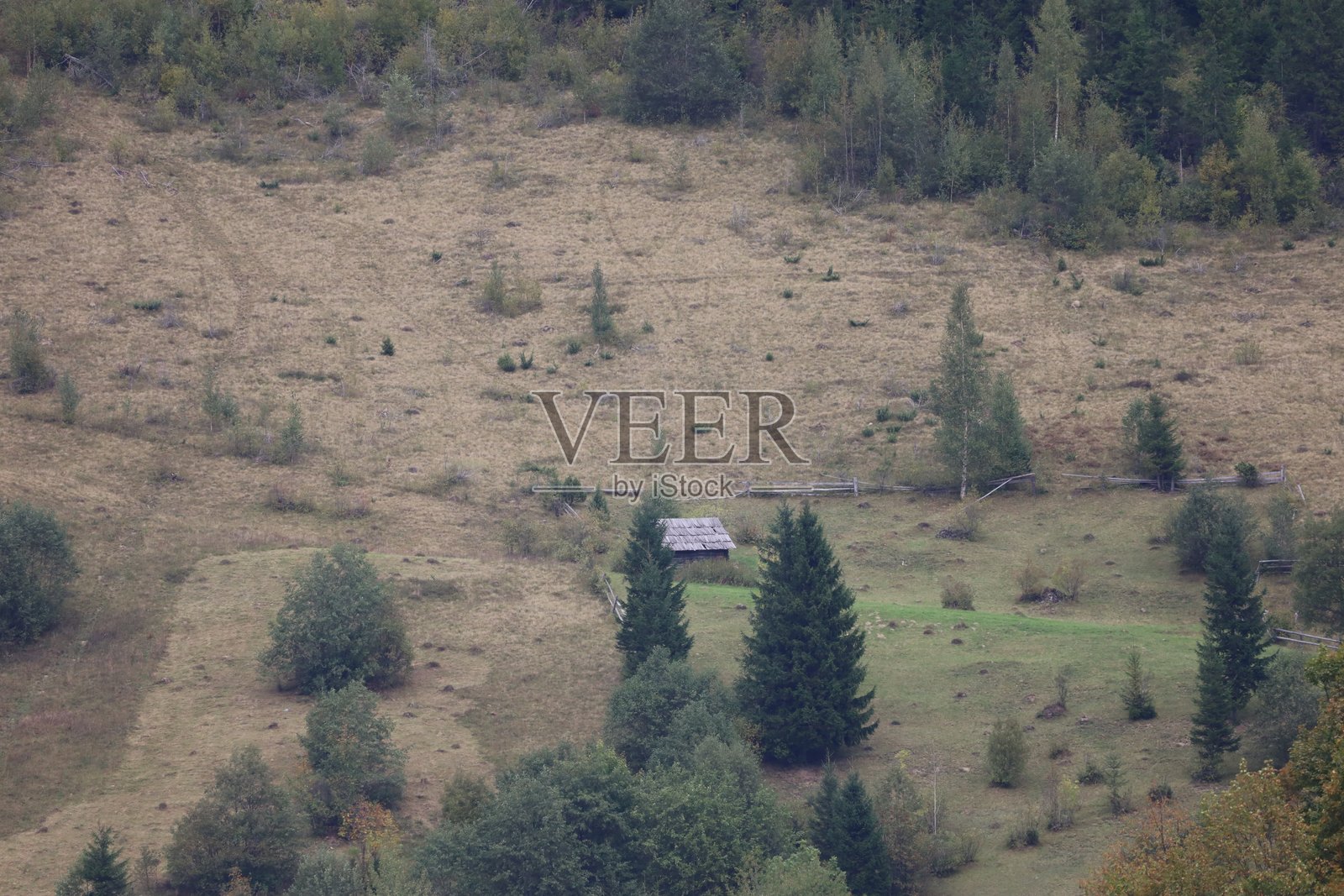 柔和的光线洒在秋季的山坡上照片摄影图片