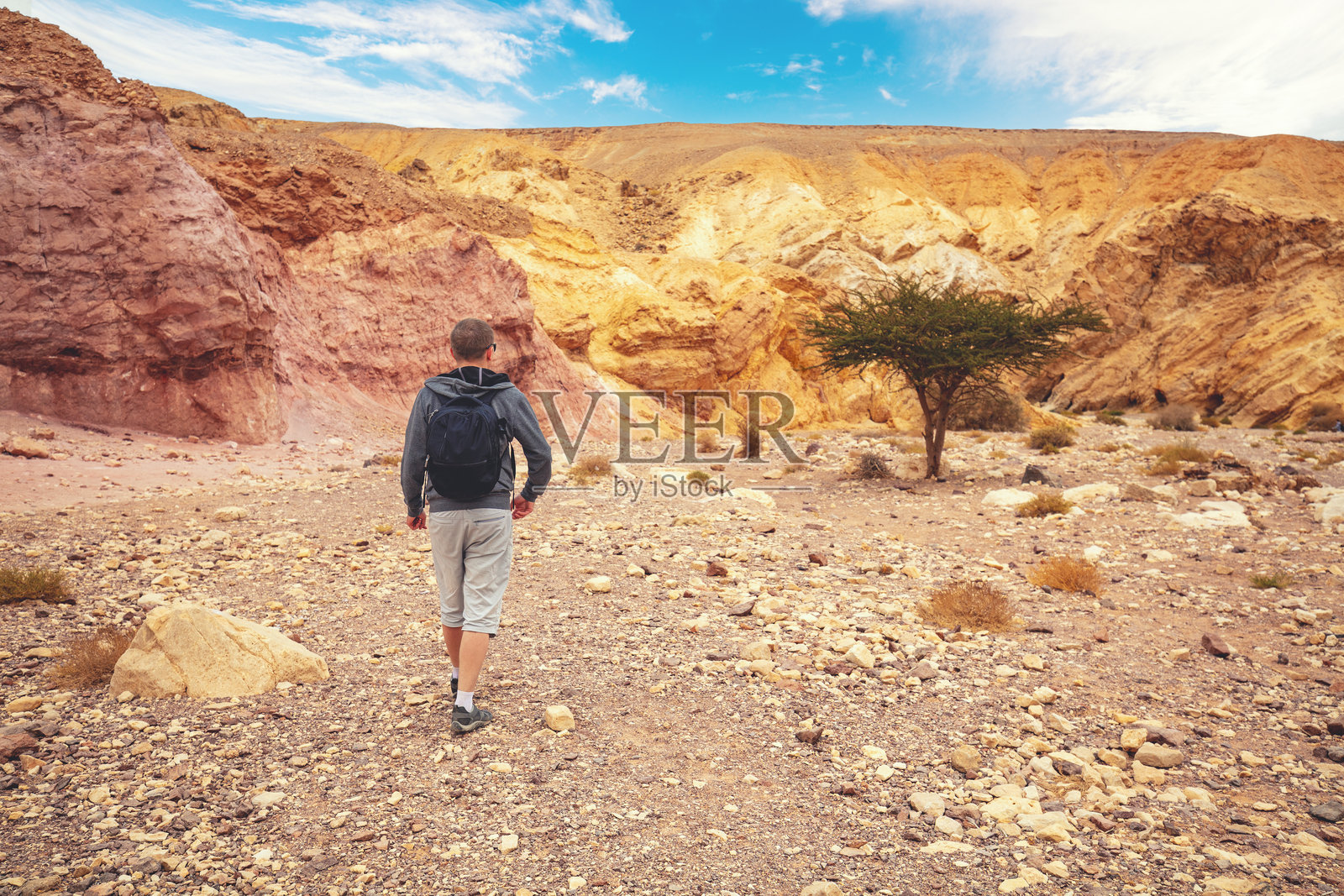 年轻男子在沙漠中行走。通往以色列内盖夫沙漠红岩峡谷的路。照片摄影图片