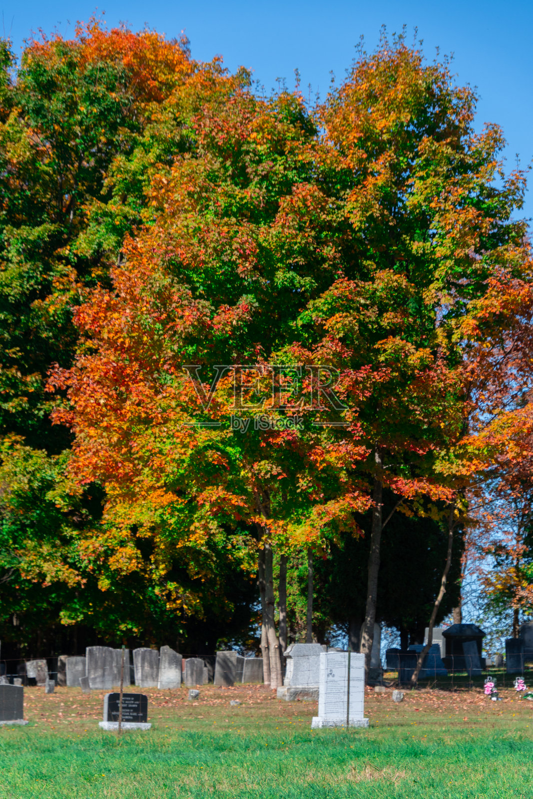 加拿大乡村墓地秋日色彩景观照片摄影图片