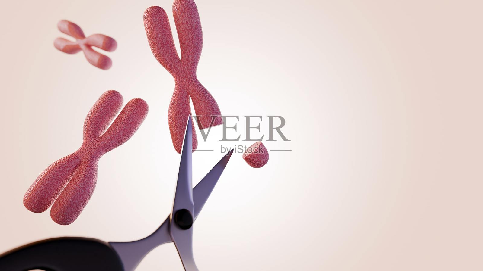 一把剪刀和染色体的一幅插画照片摄影图片