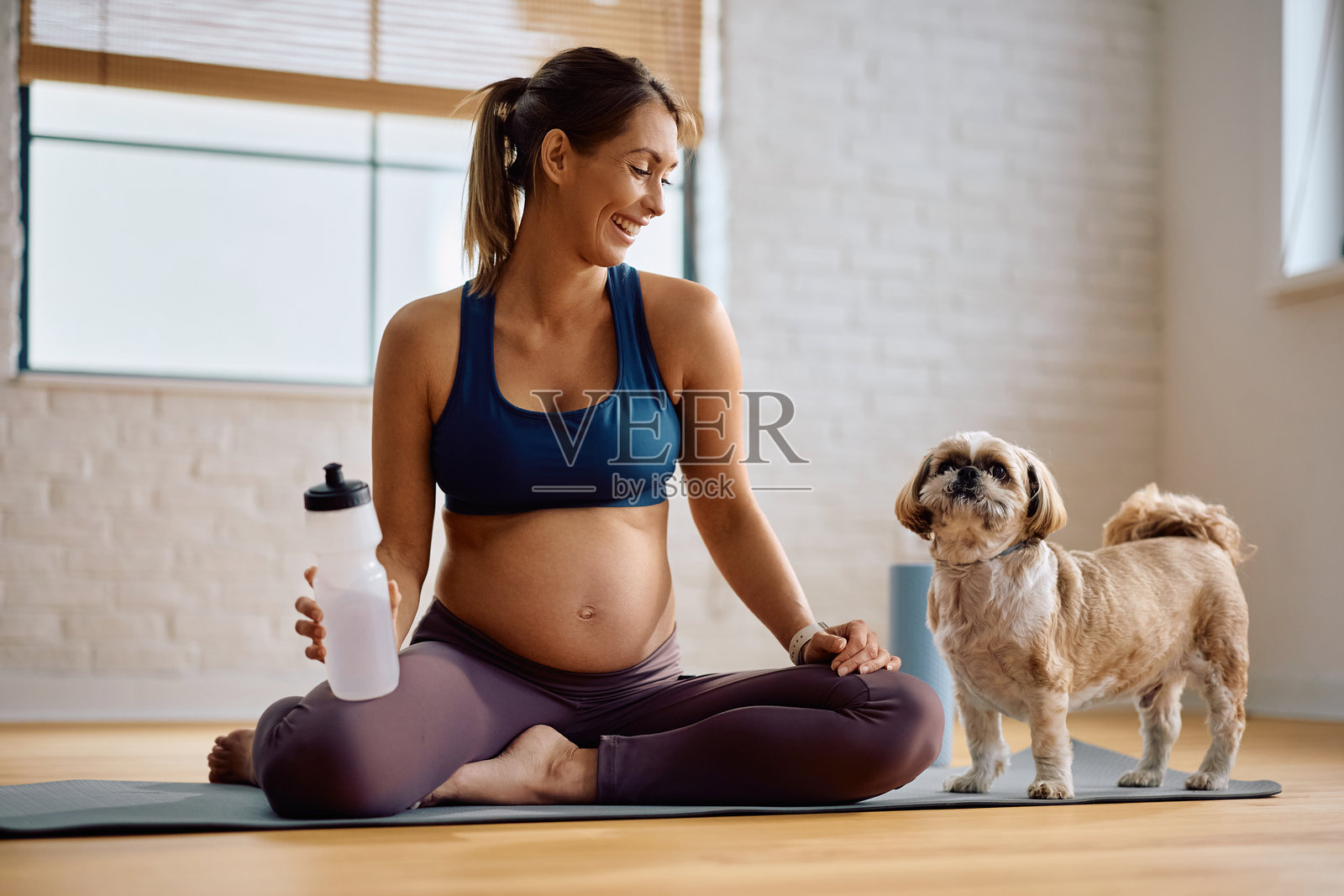 快乐的准妈妈在家锻炼,同时和她的狗狗玩耍。照片摄影图片