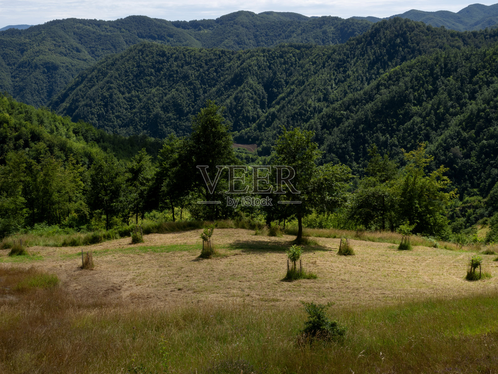 圣本笃门廊照片摄影图片