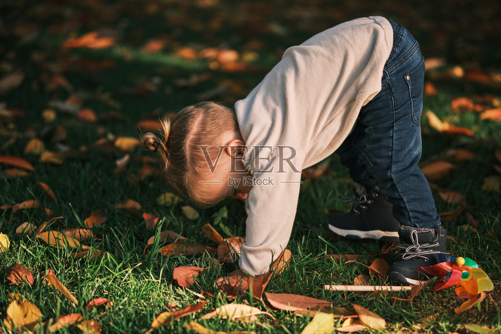 秋日公园里,一个蹒跚学步的幼儿正从草坪上努力站起来学习走路。照片摄影图片