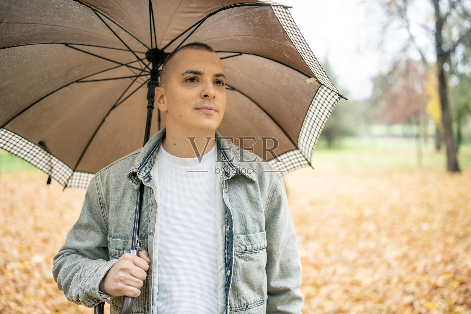 一位身着休闲装的男士在秋日公园里,金黄的落叶中漫步,手中打着伞。照片摄影图片