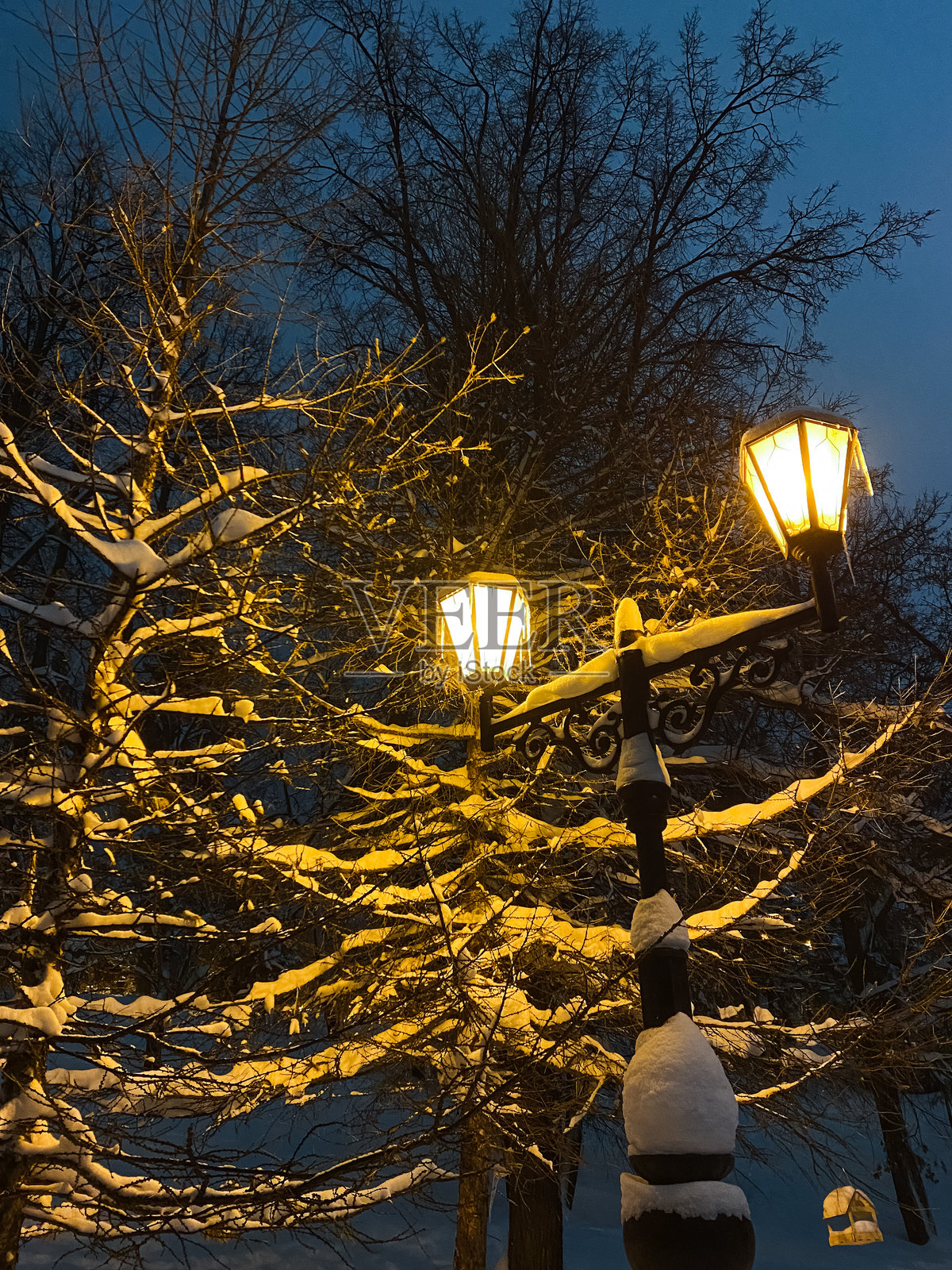 冬天,一盏路灯在覆盖着皑皑白雪的树前明亮地闪耀,照亮了周围的区域,营造出宁静而充满活力的夜晚氛围。照片摄影图片