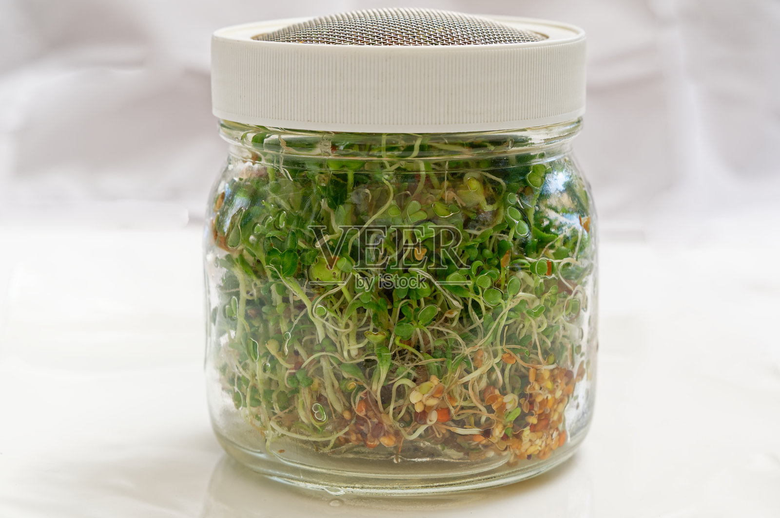 准备食用的健康豆芽照片摄影图片