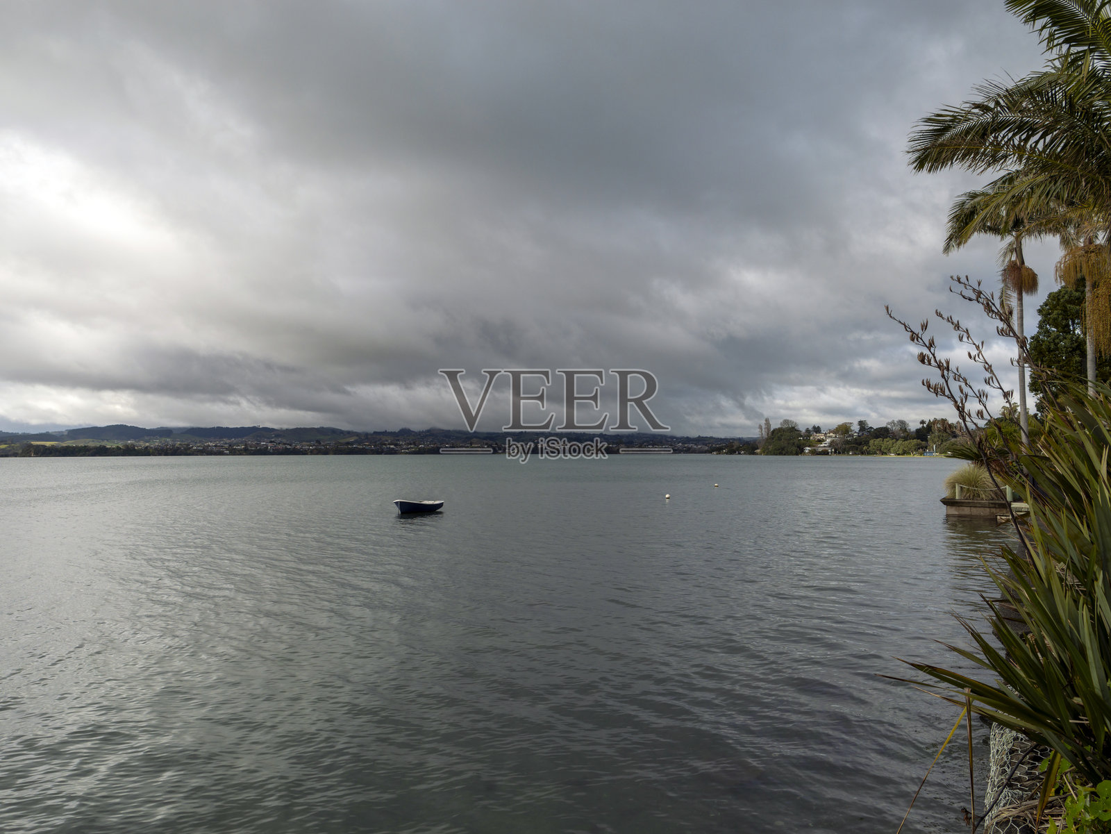 新西兰陶朗加海岸线照片摄影图片