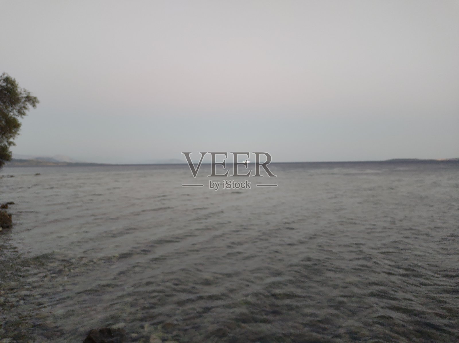 假期,食物,动物,野生,食谱照片摄影图片