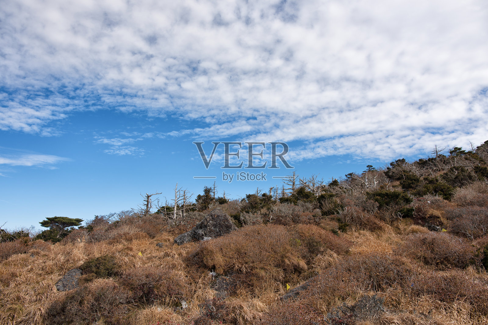 秋季汉拿山永信林道徒步照片摄影图片