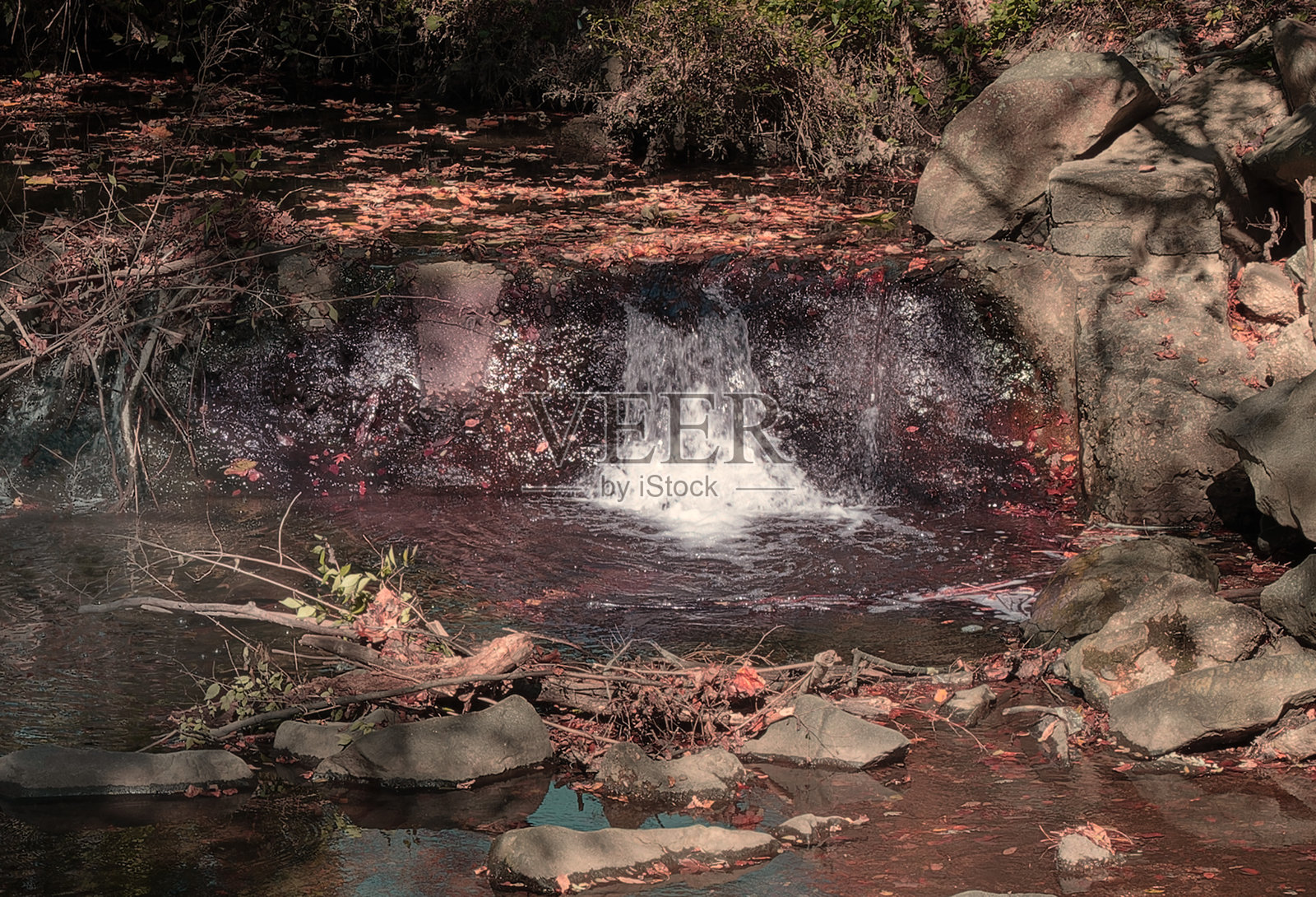 斯利戈溪公园的秋日景象照片摄影图片
