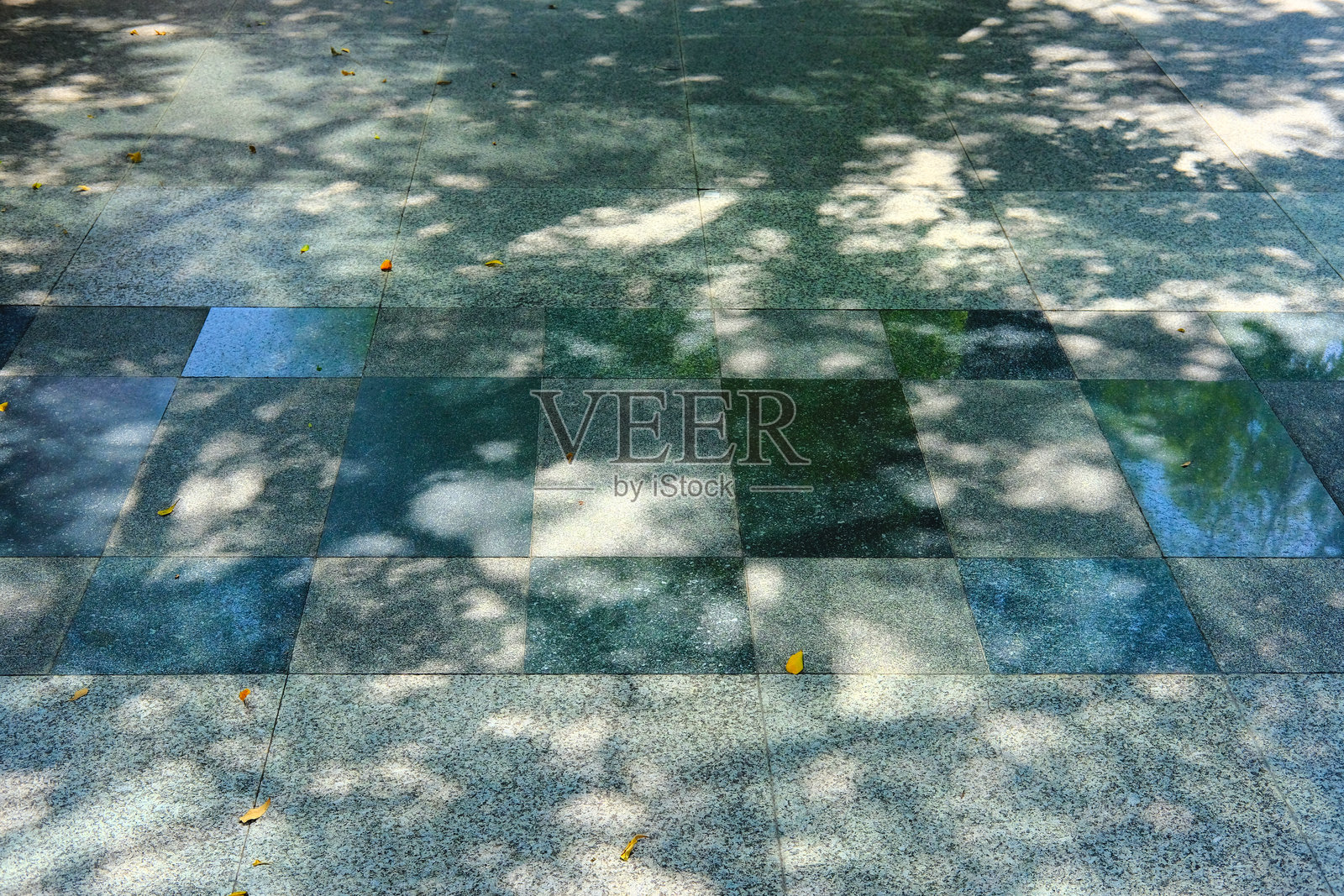 地板上的阴影照片摄影图片