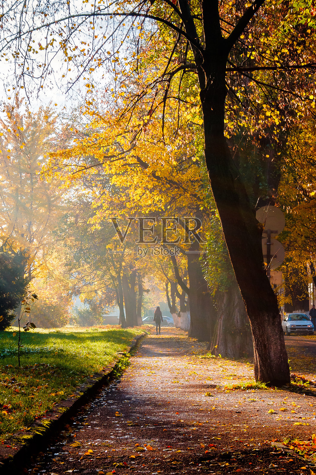 阳光明媚的早晨,城市公园的秋日风光照片摄影图片