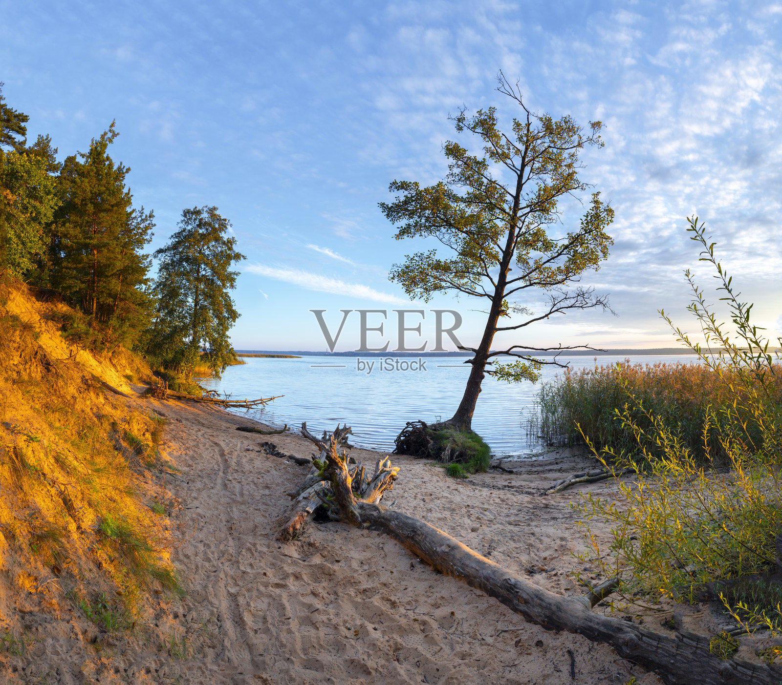 秋日清晨,湖畔树木景色优美,阳光明媚。照片摄影图片