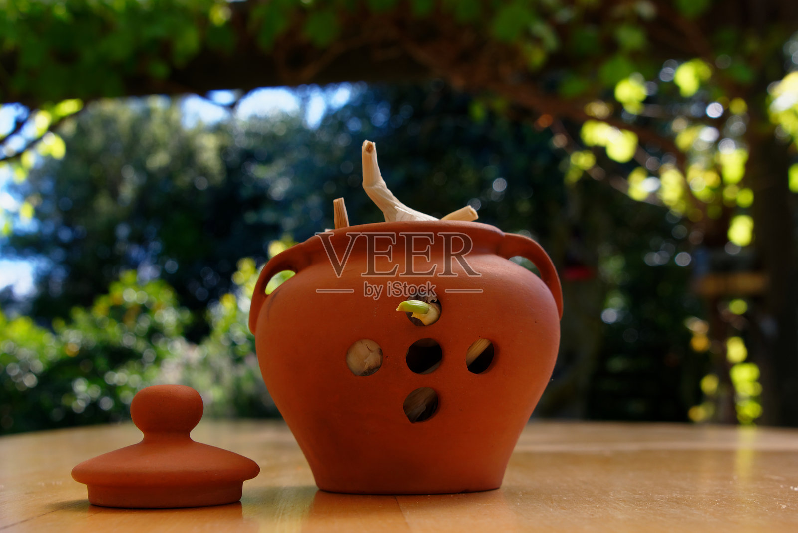 木桌上的一个户外蒜罐照片摄影图片