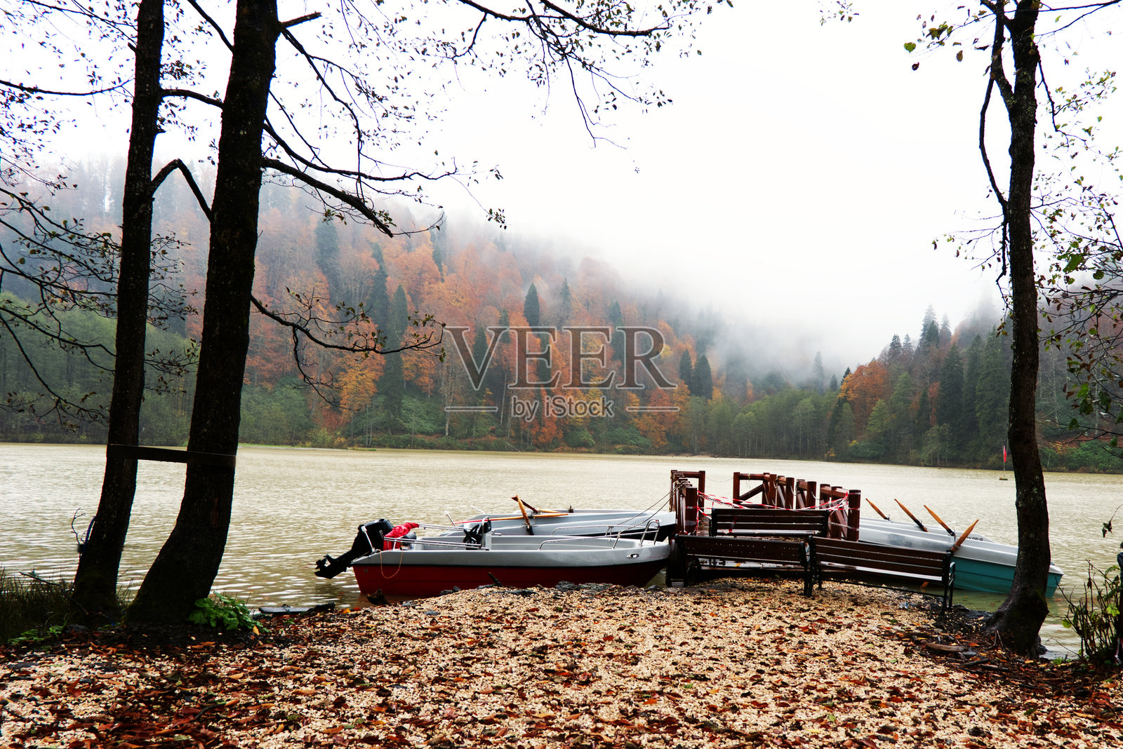 秋日迷雾笼罩的湖畔,船只系在木码头上照片摄影图片