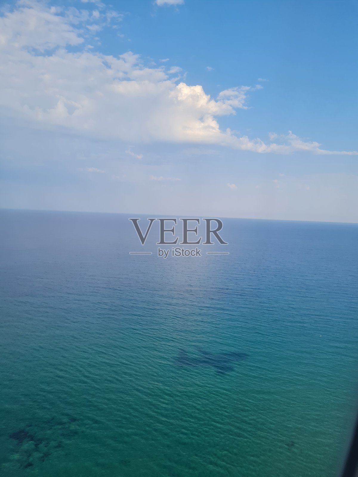 鱼,水族馆,帕尔马,西班牙美食家庭照片摄影图片