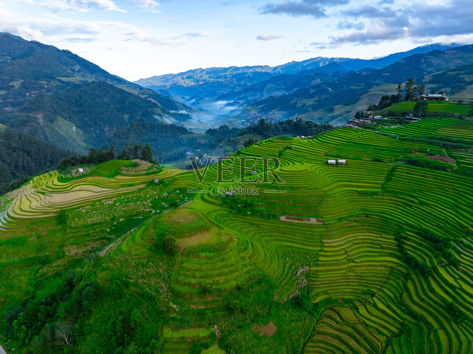 越南北部萨帕市附近木江界镇的金色梯田空中俯瞰图。 位于安沛省,丰收季节美丽的梯田稻田。照片摄影图片