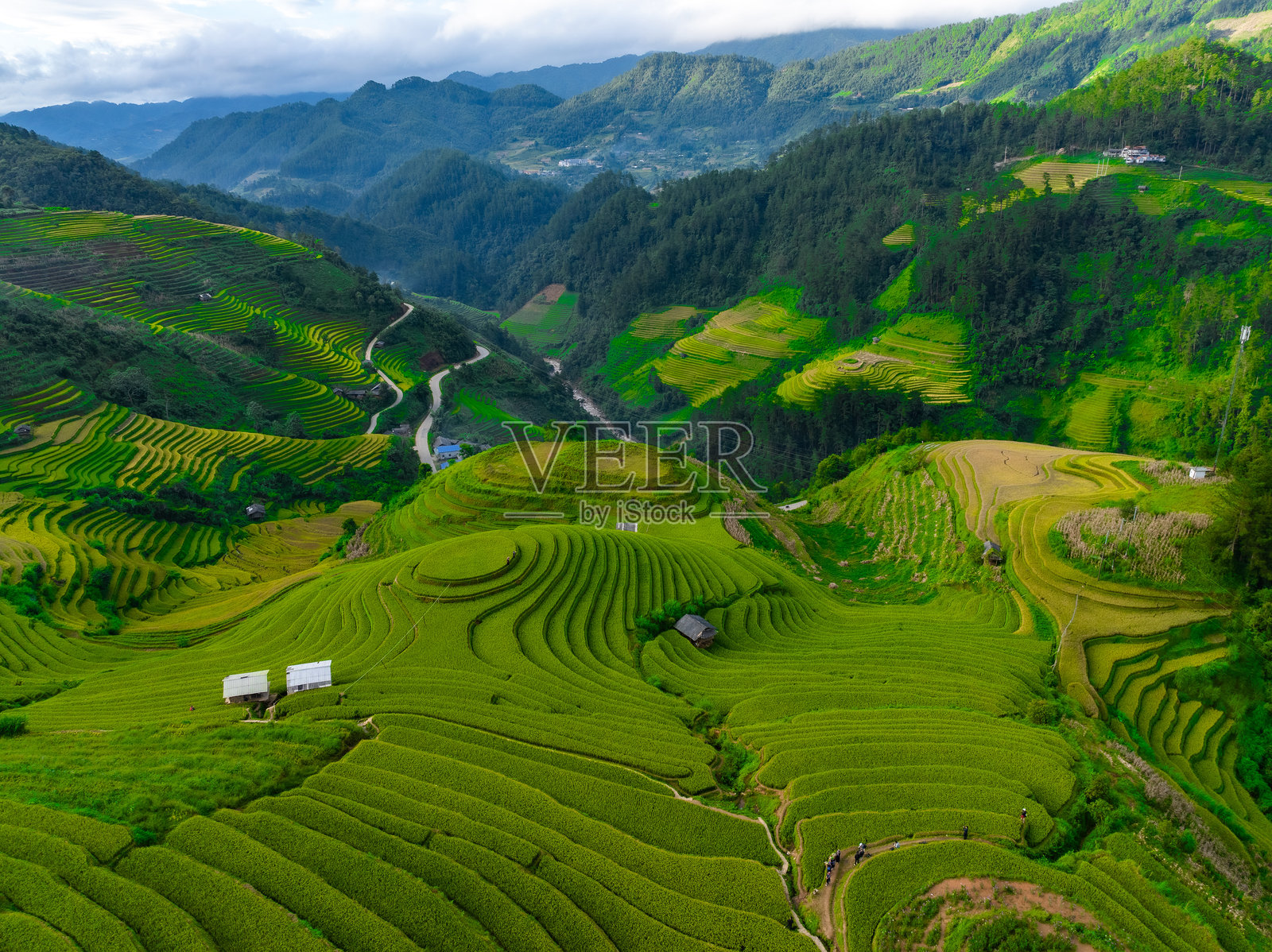 越南北部木江界镇山丘上的房屋和梯田的鸟瞰图。越南安沛省丰收季节美丽的梯田。照片摄影图片
