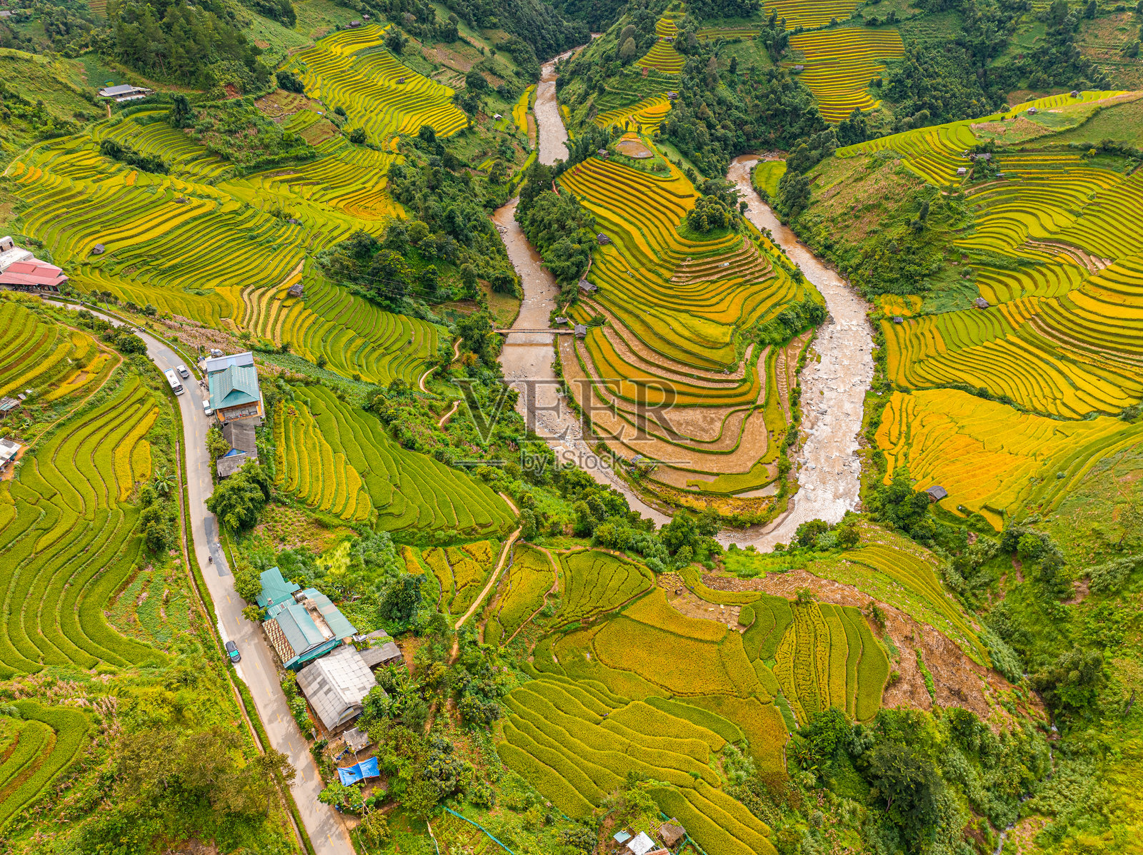 越南北部萨帕市附近的目曹斋镇上空,金色的梯田美景。位于安沛省,丰收季节美丽的梯田稻田。照片摄影图片