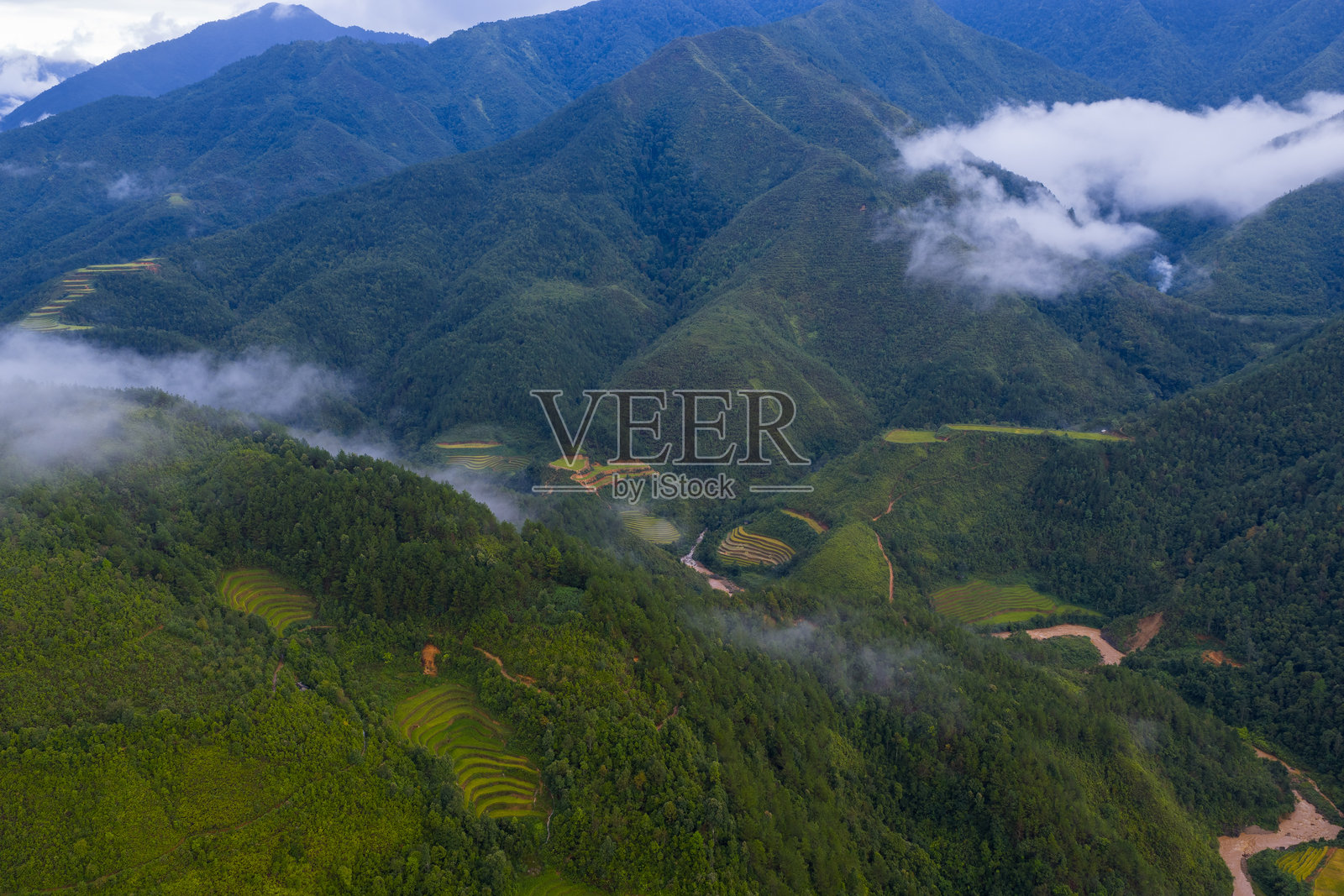 越南北部萨帕市附近木江界镇的金黄梯田航拍图。 越南安沛省丰收季节美丽的梯田。照片摄影图片