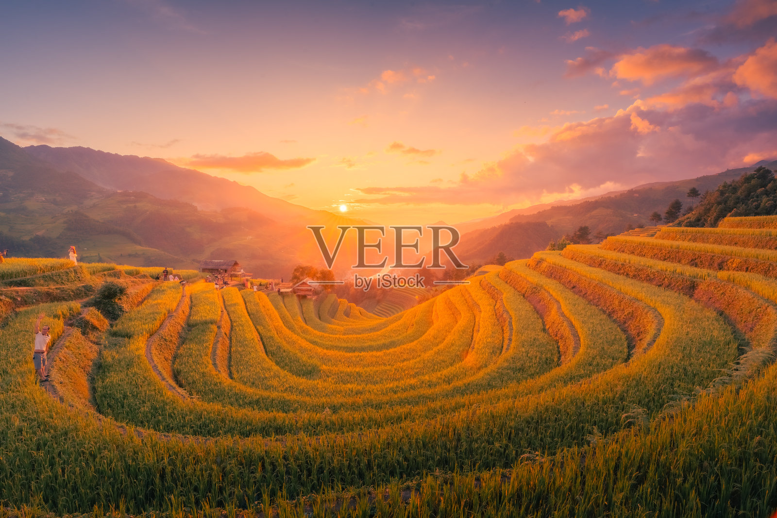 越南北部穆 cang chai 镇山上房屋和稻田的鸟瞰图。在安沛省,丰收季节美丽的梯田。照片摄影图片