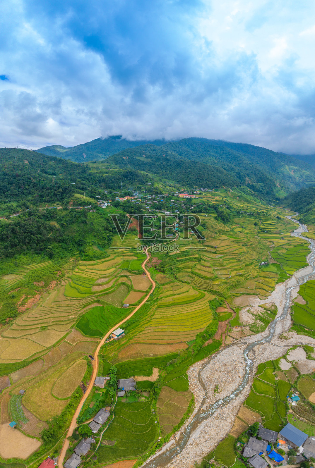 越南北部萨帕市附近的目曹斋镇金黄稻田的航拍图。 越南安沛省丰收季节美丽的梯田。照片摄影图片