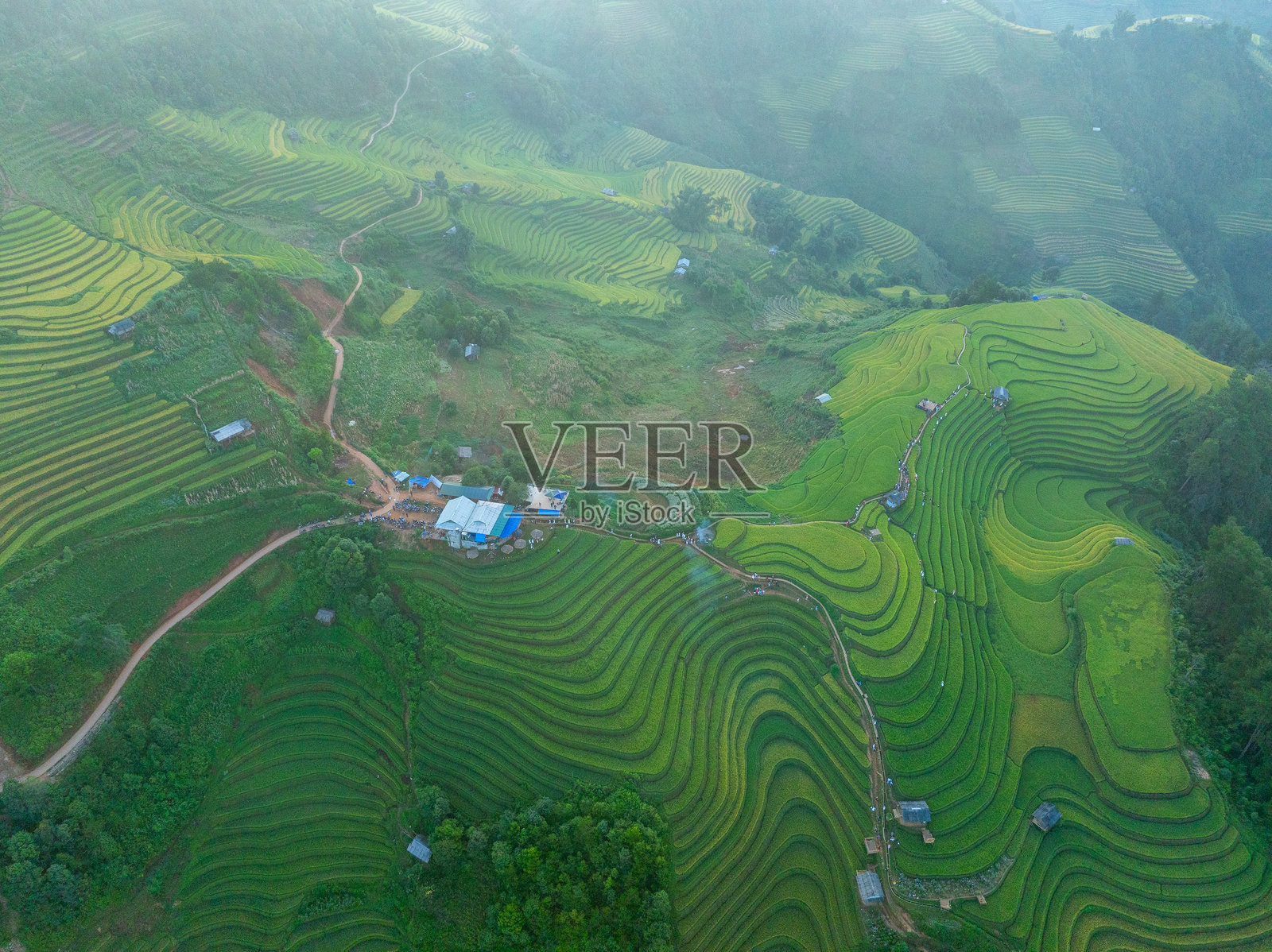 越南北部沙巴市附近的穆 cang chai 镇金色梯田的空中视角。 yen bai 省丰收季节美丽的梯田。照片摄影图片
