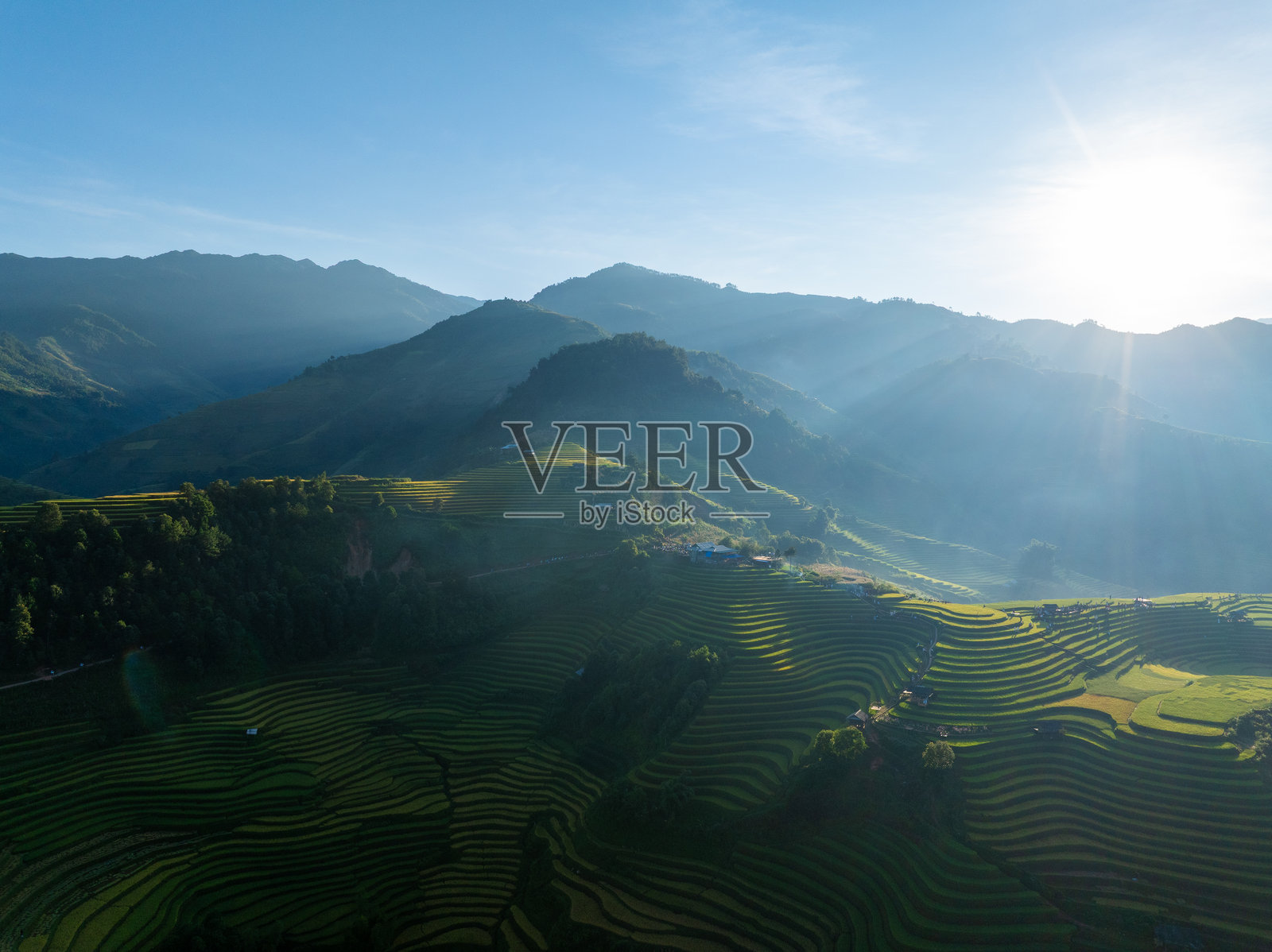 越南北部沙巴市附近的木江界镇金黄色梯田的鸟瞰图。位于安沛省,丰收季节美丽的梯田。照片摄影图片