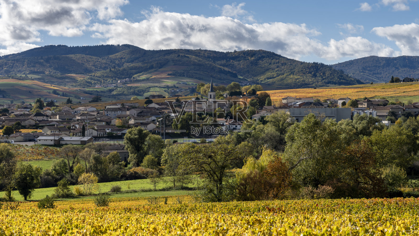 博若莱葡萄园风光照片摄影图片