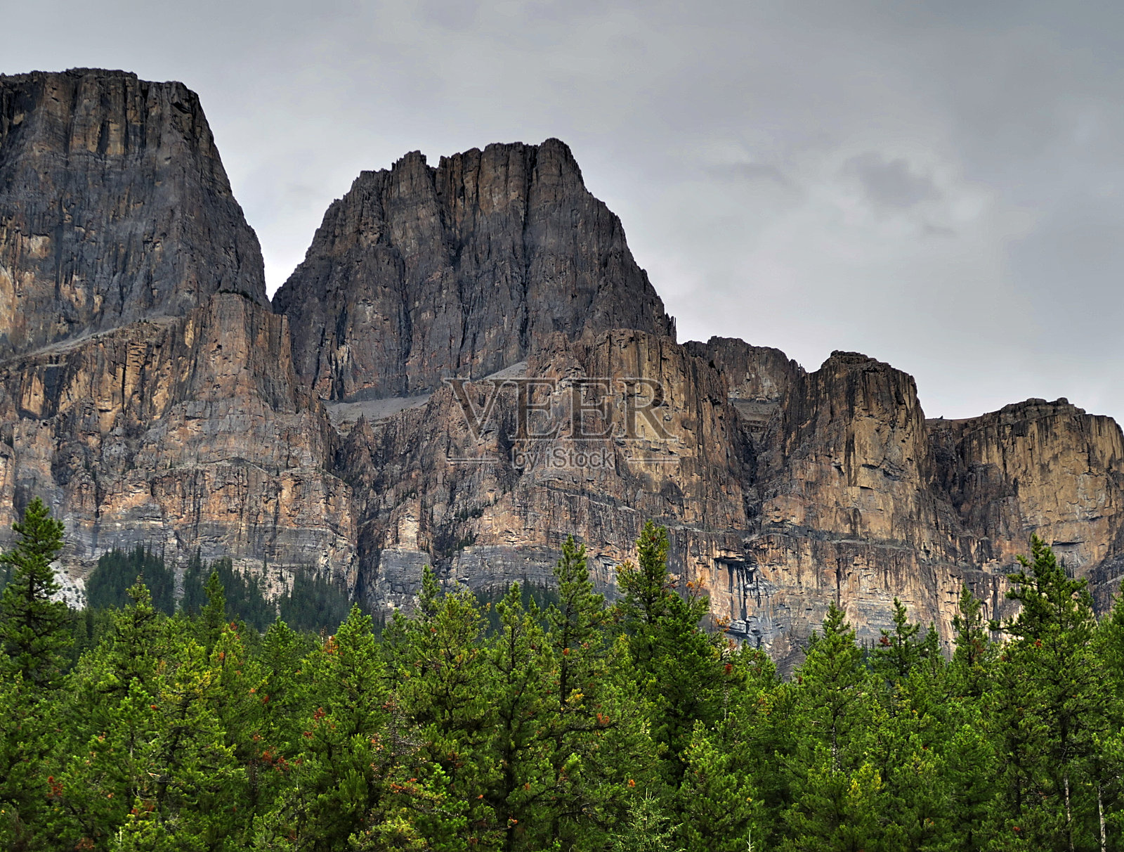 山峰与松树照片摄影图片