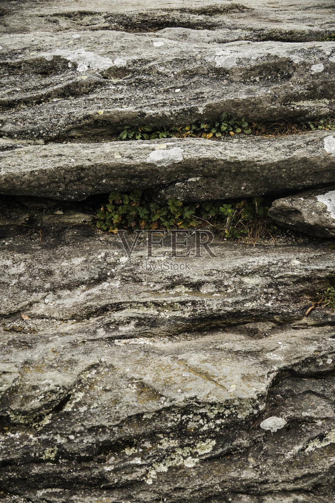 古老长满苔藓的岩石,风化的长满苔藓的岩石,水平分层的被苔藓覆盖的沉积岩照片摄影图片