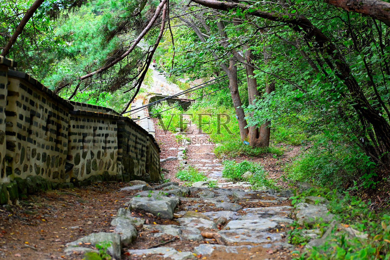 大自然中有一条下坡路,旁边有一堵墙照片摄影图片